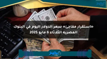 «استقرار مفاجئ» سعر الدولار اليوم في البنوك المصرية الثلاثاء 6 مايو 2025